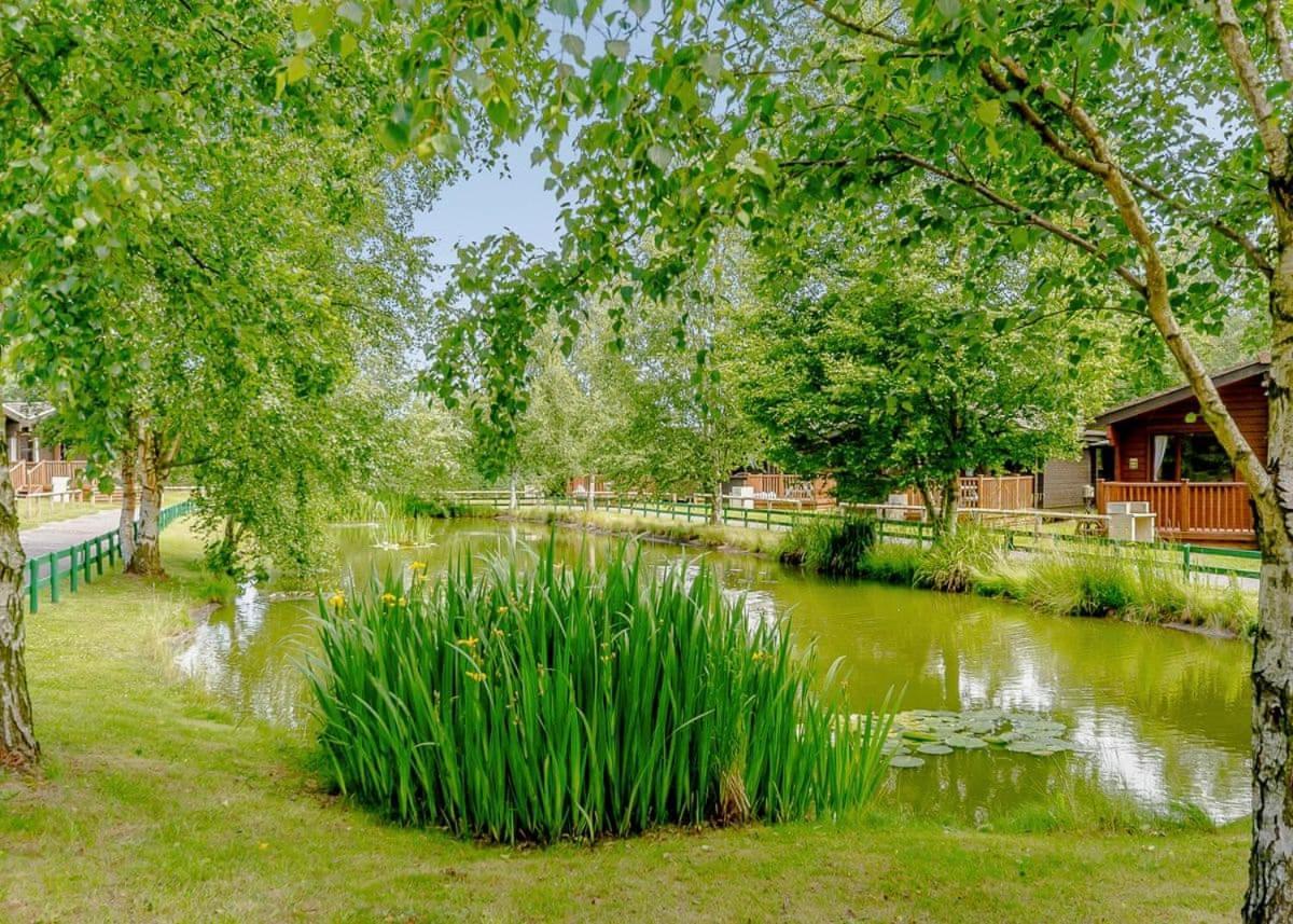 Sherwood Castle Holiday Forest Hotel Edwinstowe Exterior photo