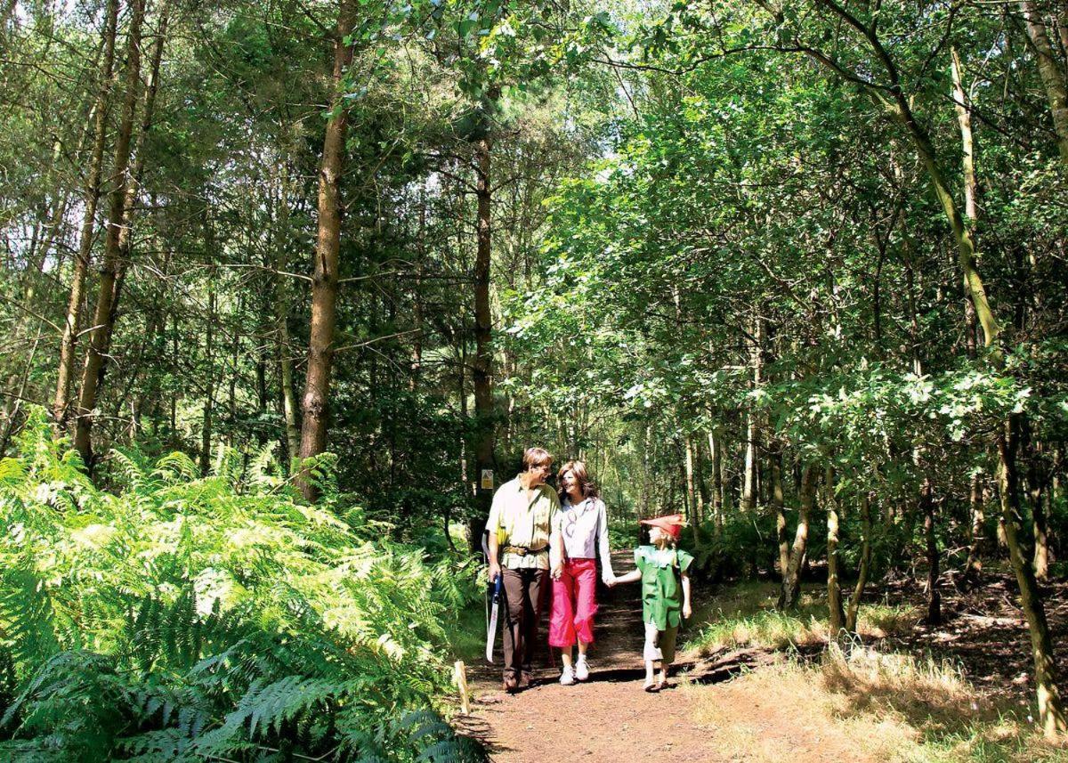 Sherwood Castle Holiday Forest Hotel Edwinstowe Exterior photo